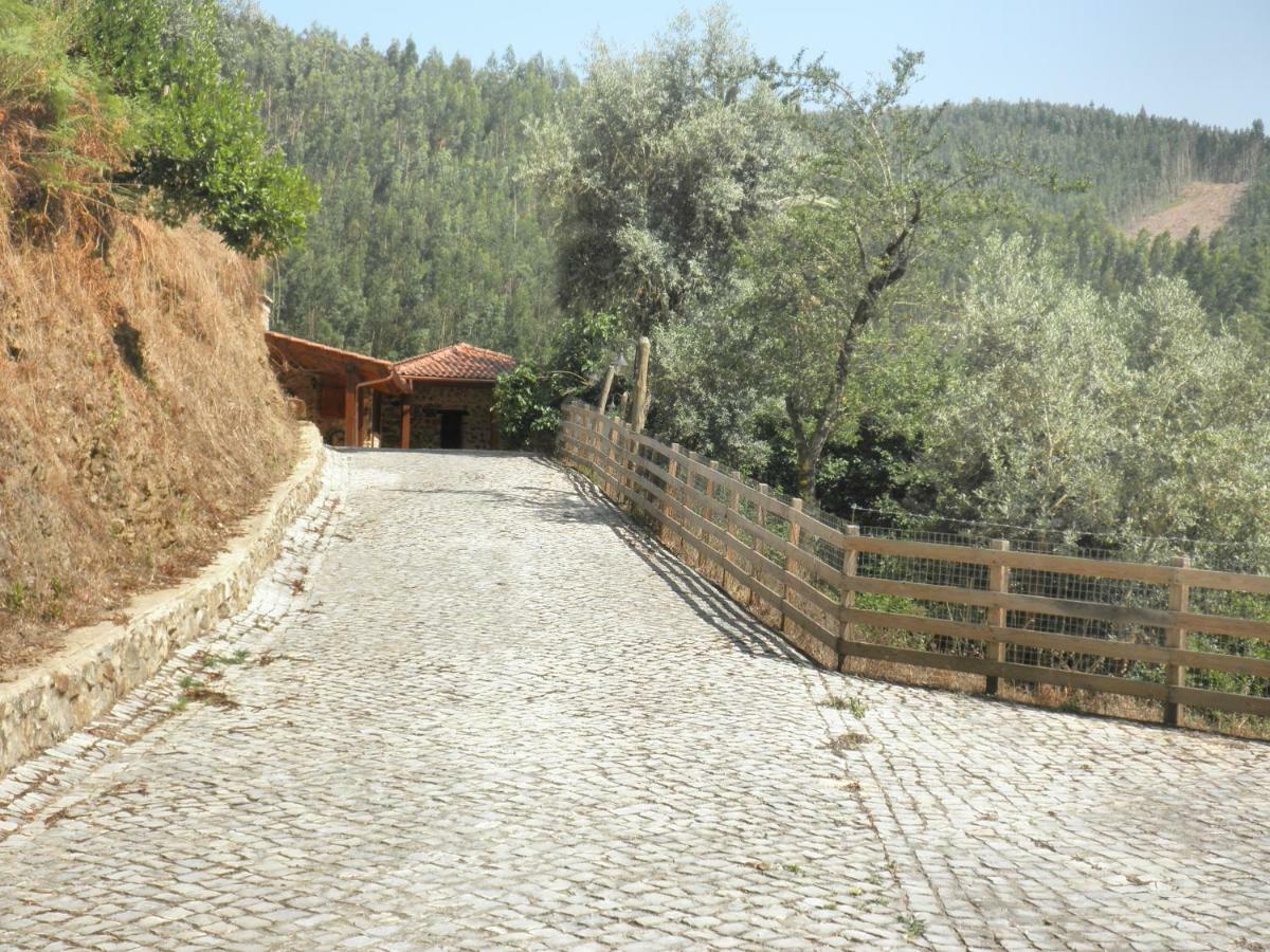 Casa Velha Villa Figueiro Dos Vinhos Exterior photo